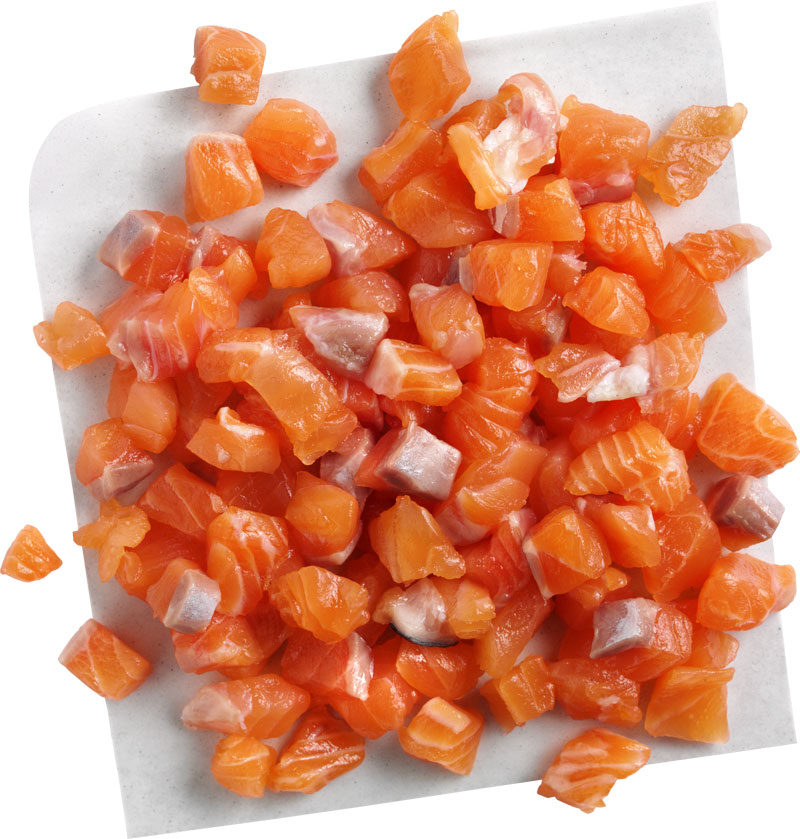 Lachs Lachs
