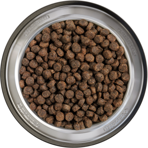 36 HQ Photos Pet Food Suppliers In Dubai - Best Pet Food In Dubai Online Pet Food In Dubai